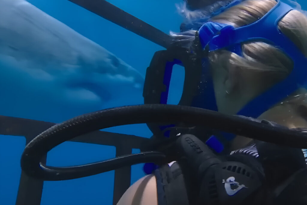 Scène de 47 Meters Down montrant une plongeuse dans la cage avec un grand requin blanc en arrière-plan.